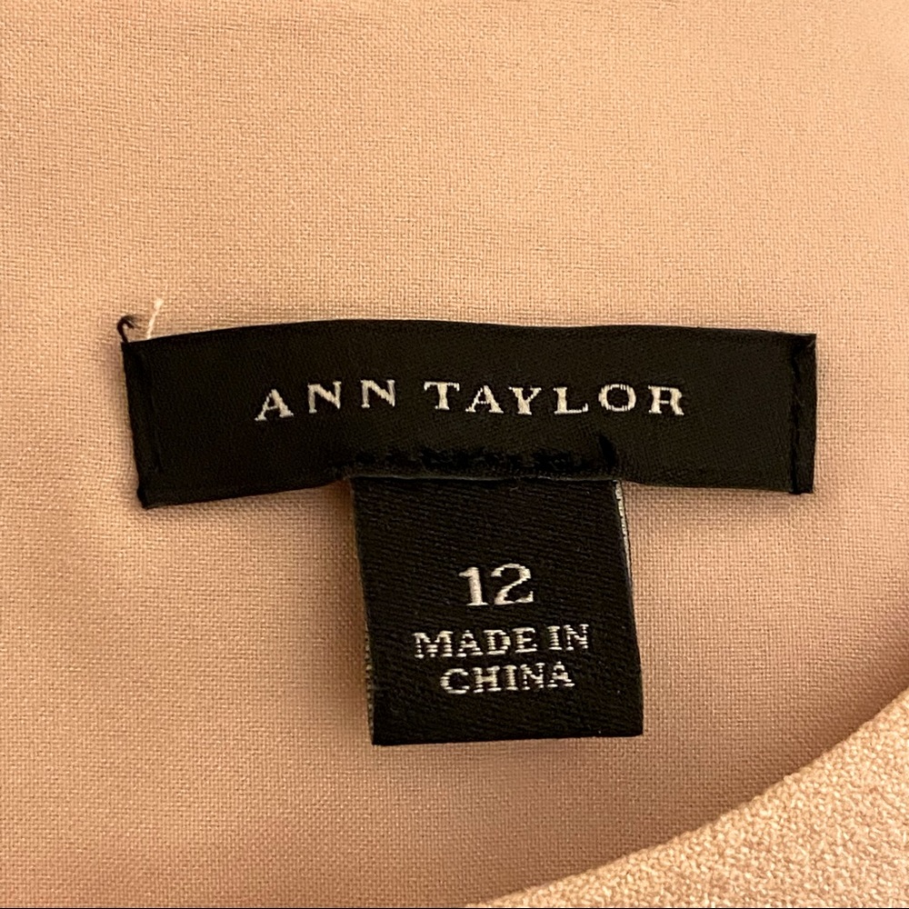 Ann Taylor Fit and Flare Cream and Black Dress sz 12 - Picture 9 of 13